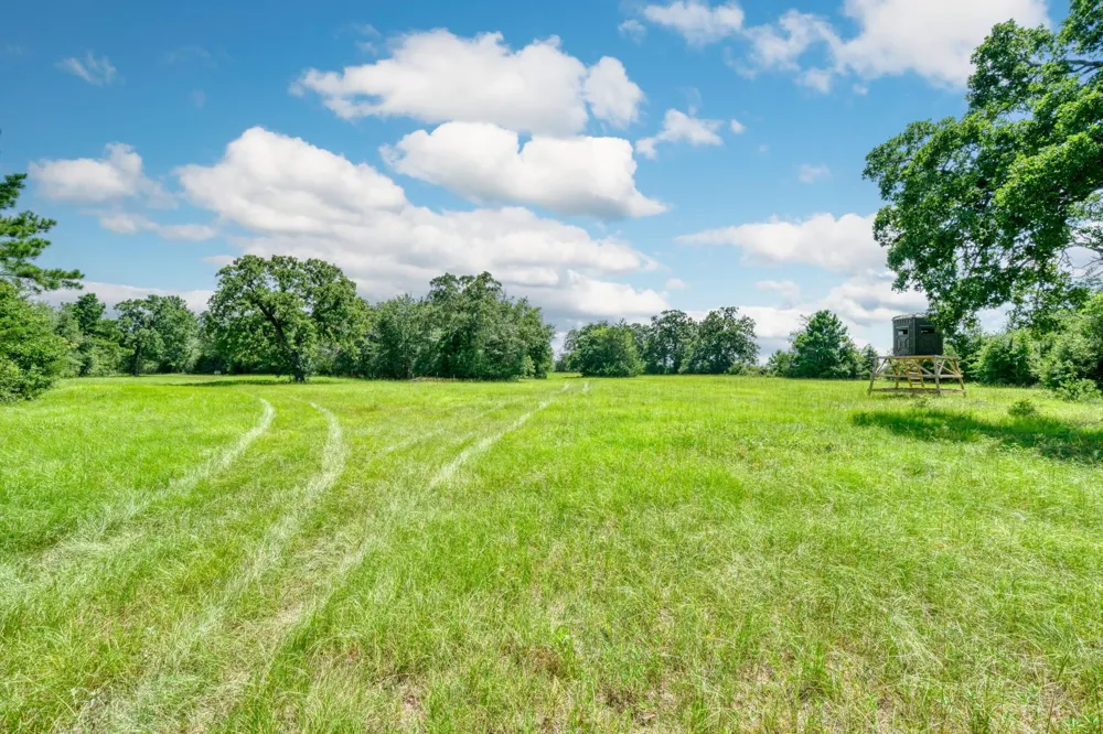 6464 County Road 146 Bedias, TX 77831