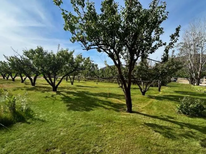1893 Pine Creek Road Tonasket, WA 98855