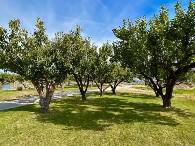 1893 Pine Creek Road Tonasket, WA 98855