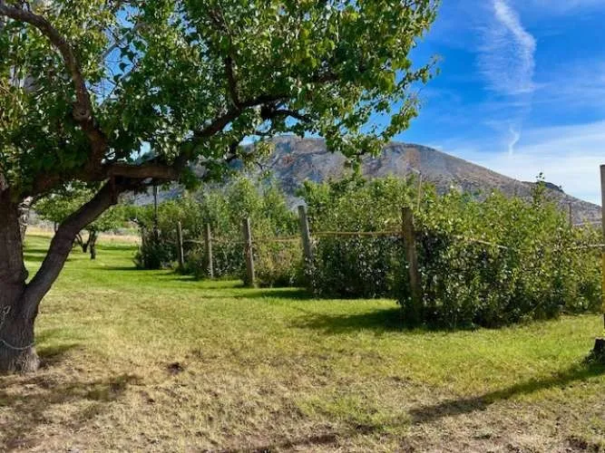 1893 Pine Creek Road Tonasket, WA 98855