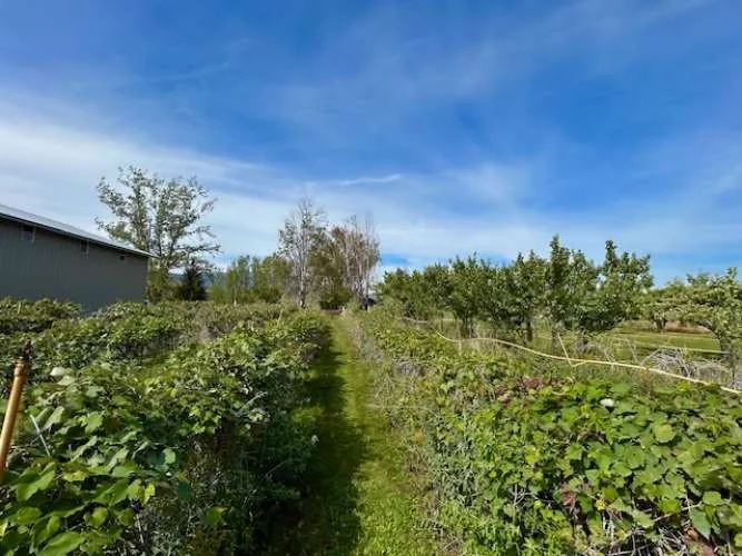 1893 Pine Creek Road Tonasket, WA 98855