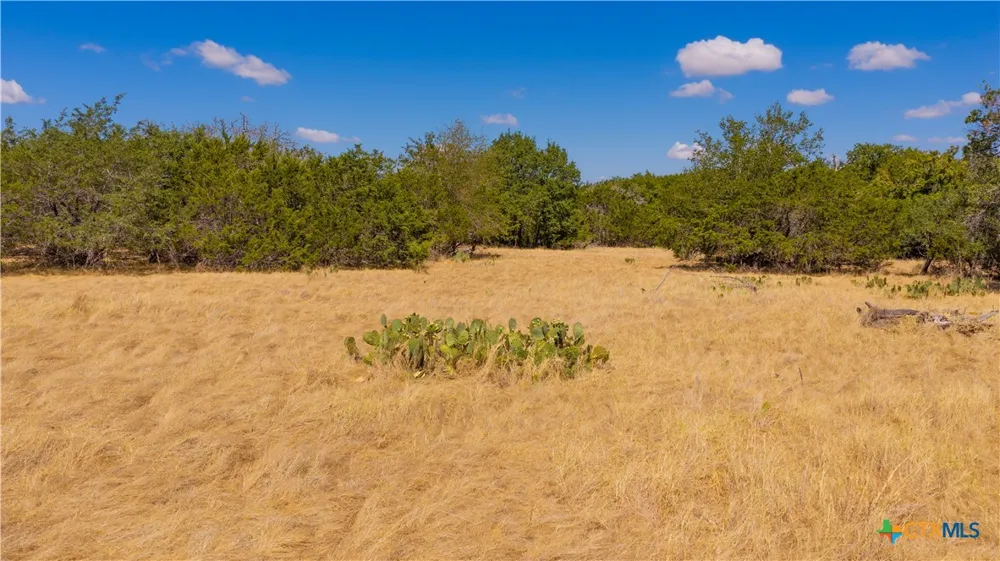 County Road 2644 Lometa, TX 76853