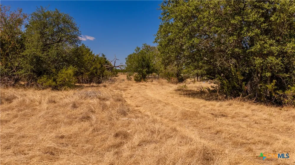 County Road 2644 Lometa, TX 76853