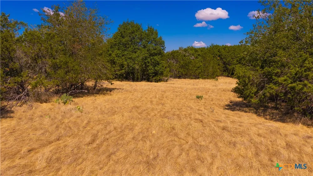 County Road 2644 Lometa, TX 76853