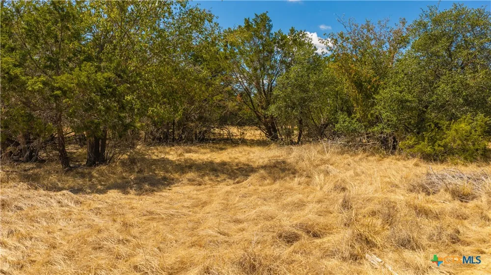 County Road 2644 Lometa, TX 76853