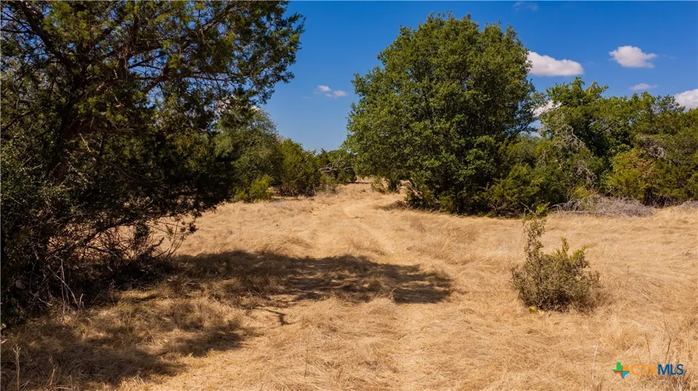 County Road 2644 Lometa, TX 76853