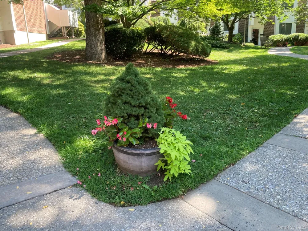 815 Colony Drive Hartsdale, NY 10530