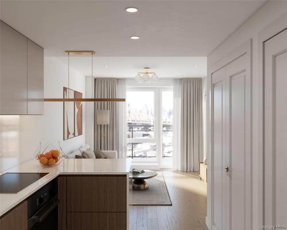 11-37 44th Drive #302 Long Island City, NY 11101
