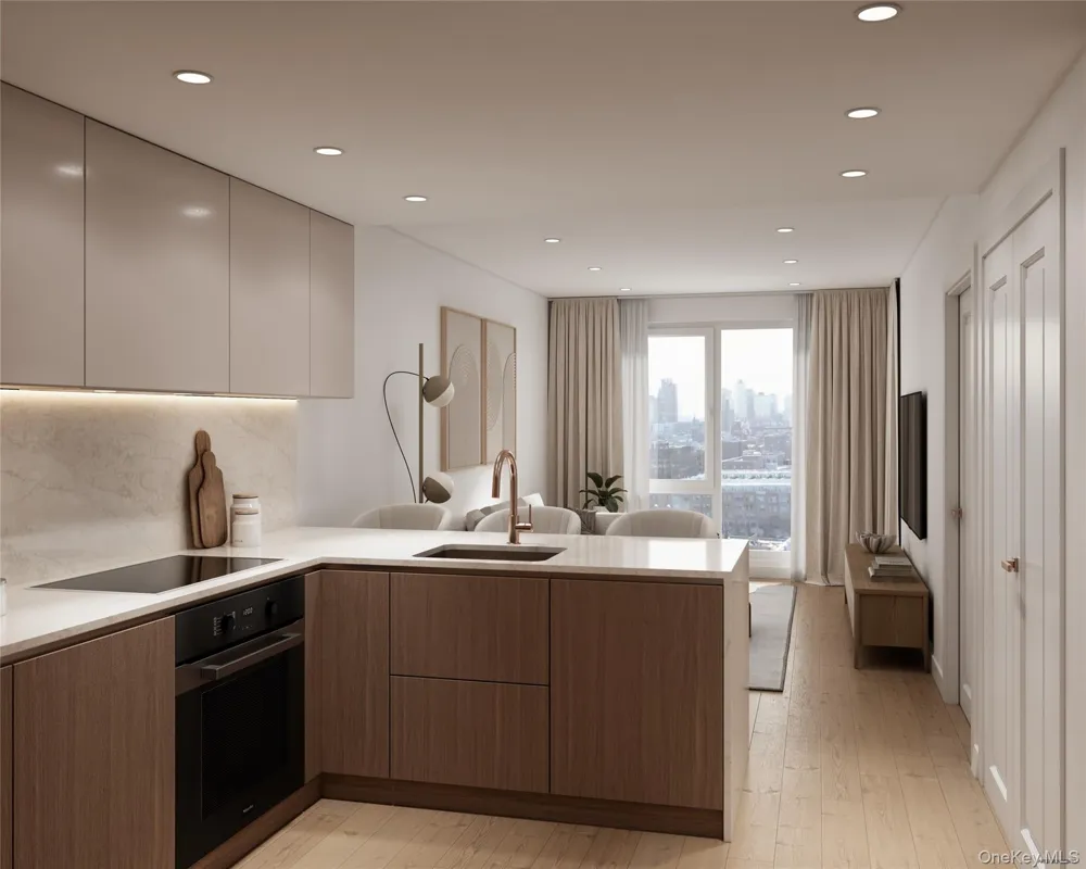 11-37 44th Drive #708 Long Island City, NY 11101