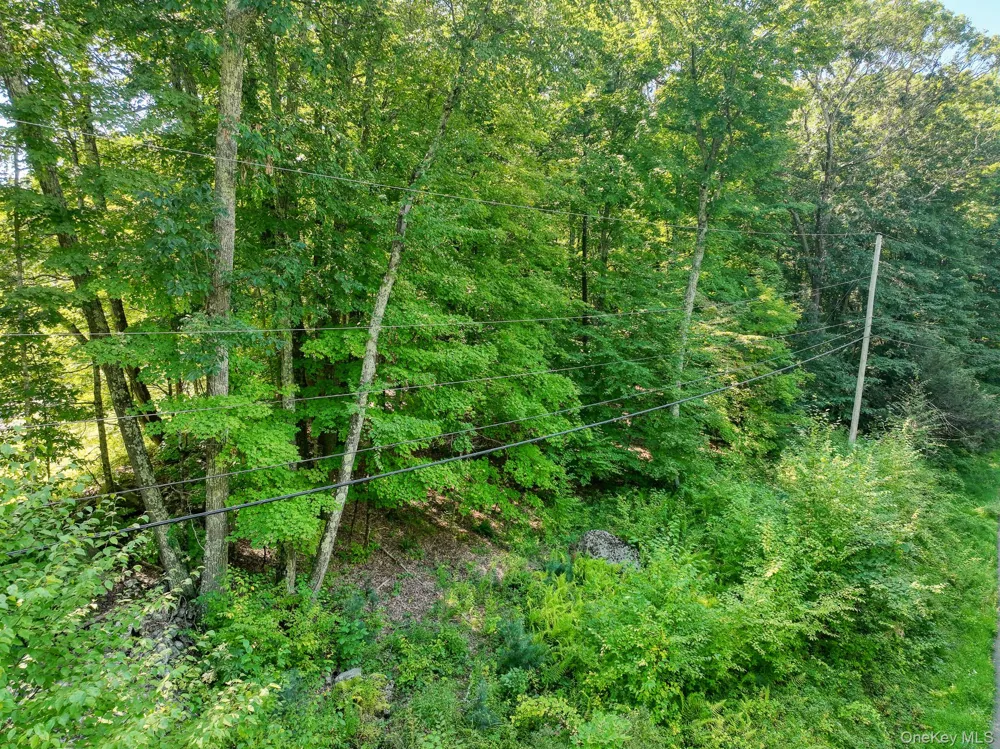 105 Carney Ulster Park, NY 12487