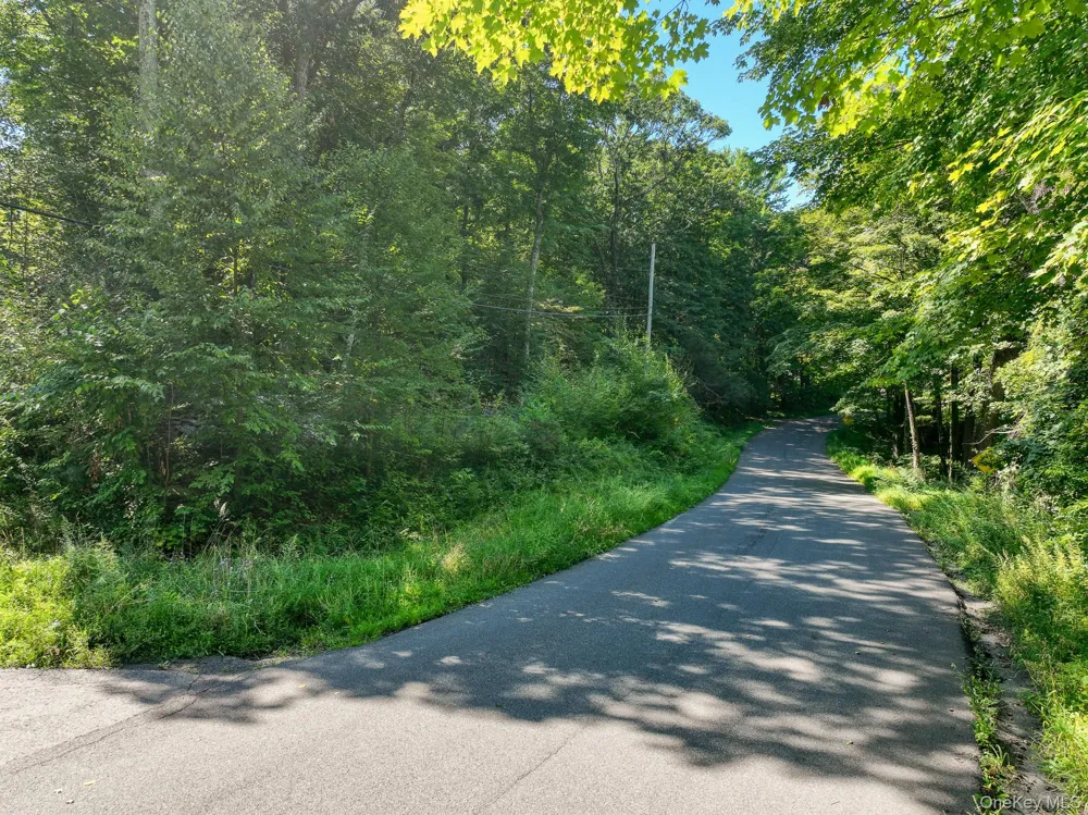 105 Carney Ulster Park, NY 12487