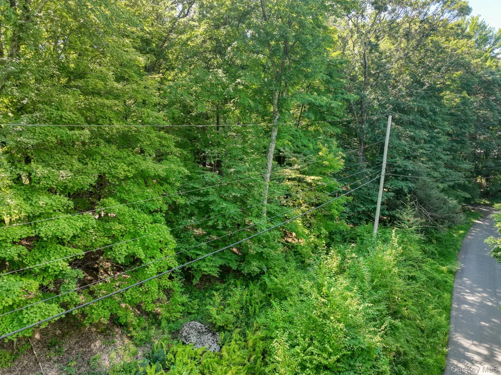 105 Carney Ulster Park, NY 12487