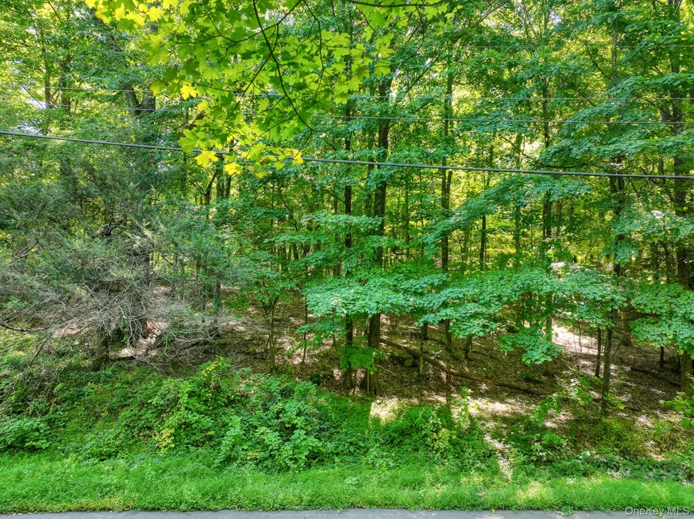 105 Carney Ulster Park, NY 12487
