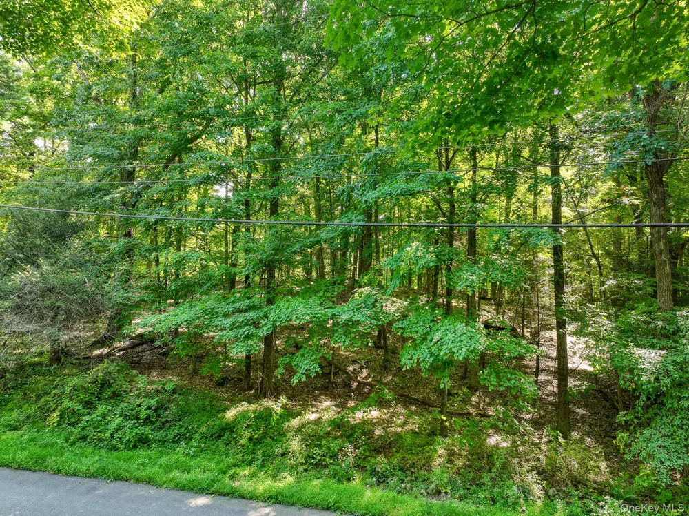 105 Carney Ulster Park, NY 12487