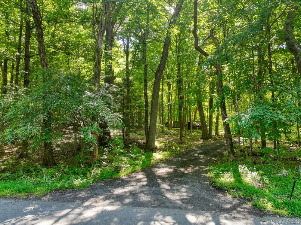 105 Carney Ulster Park, NY 12487
