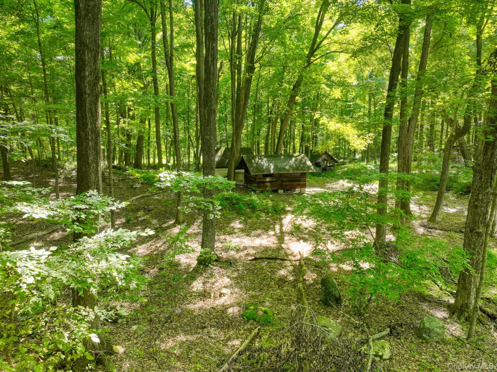 105 Carney Ulster Park, NY 12487