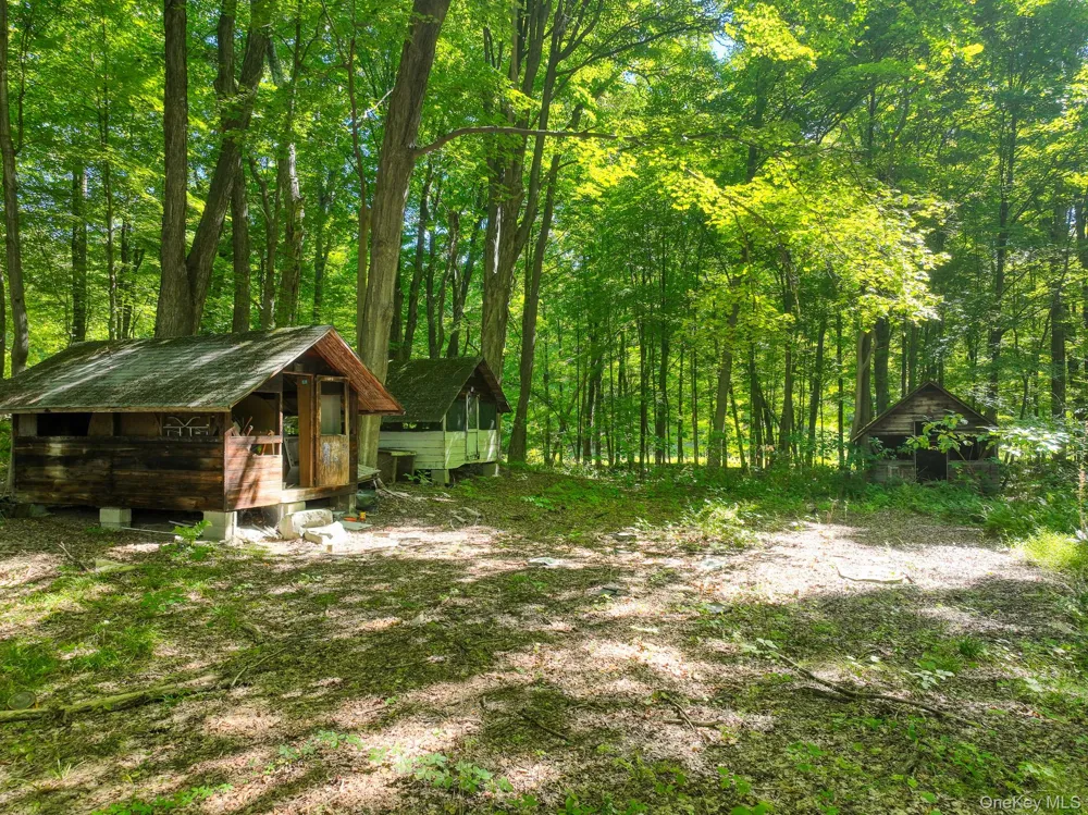 105 Carney Ulster Park, NY 12487