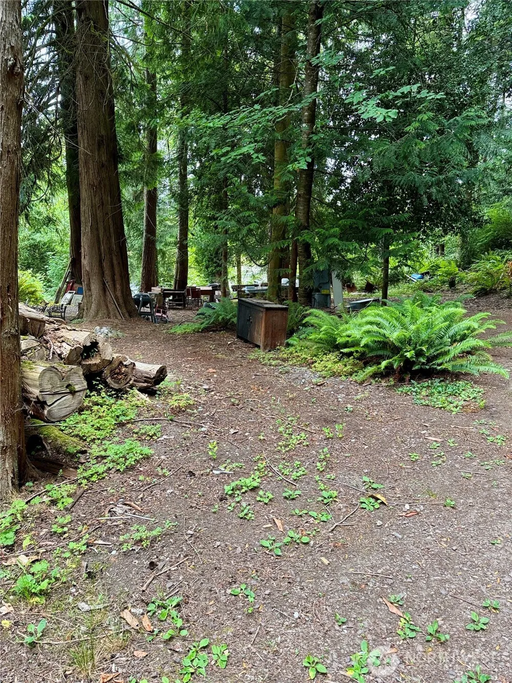 27120 NE 152nd Street Duvall, WA 98019