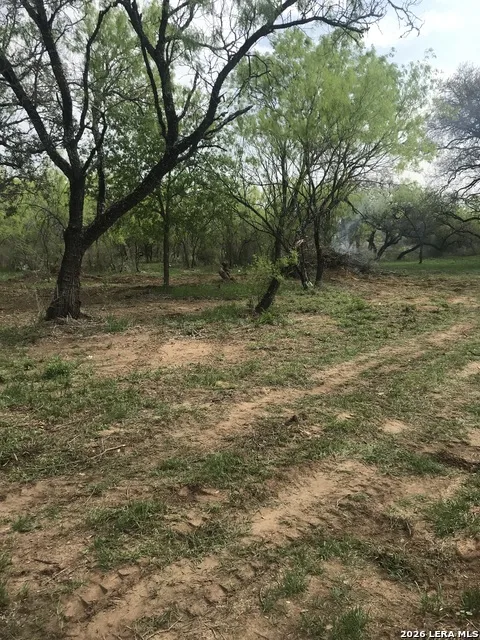 946 County Road 2863 Bigfoot, TX 78006