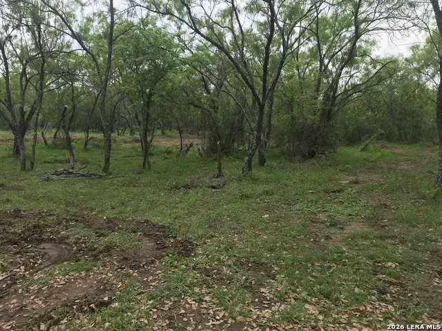 946 County Road 2863 Bigfoot, TX 78006