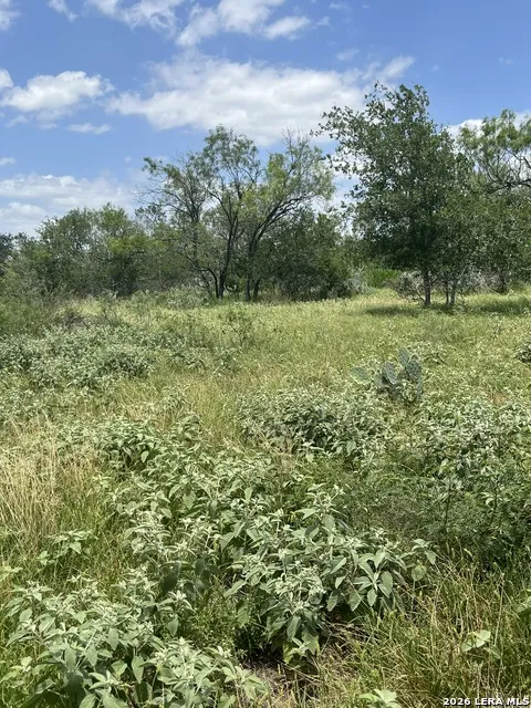 946 County Road 2863 Bigfoot, TX 78006
