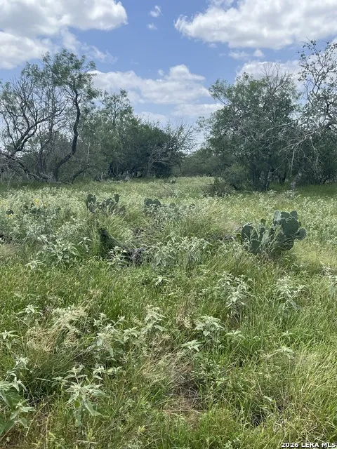 946 County Road 2863 Bigfoot, TX 78006