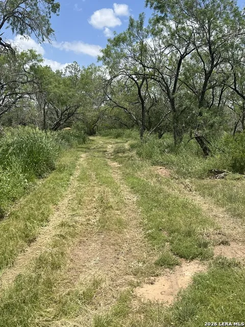 946 County Road 2863 Bigfoot, TX 78006