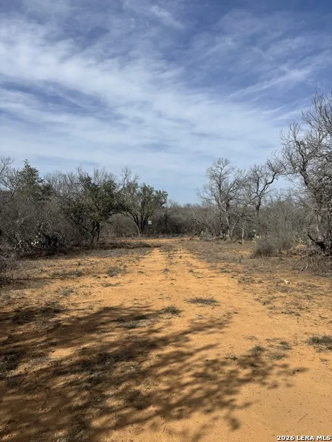 946 County Road 2863 Bigfoot, TX 78006
