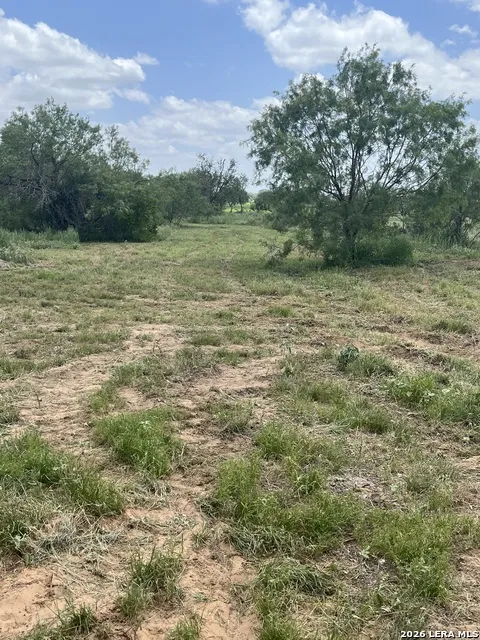 946 County Road 2863 Bigfoot, TX 78006