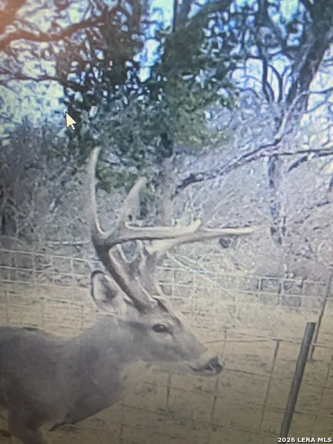946 County Road 2863 Bigfoot, TX 78006