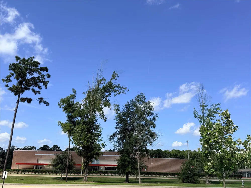 14845 Cypress Hollow Drive New Caney, TX 77357