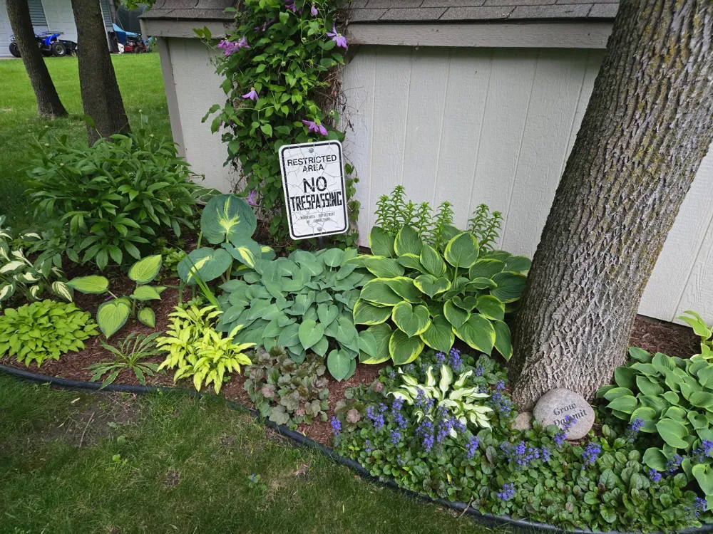 3214 Shorewood Drive Rush City, MN 55069