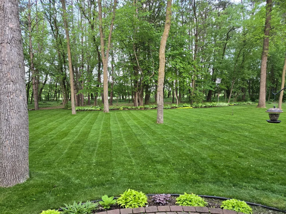 3214 Shorewood Drive Rush City, MN 55069