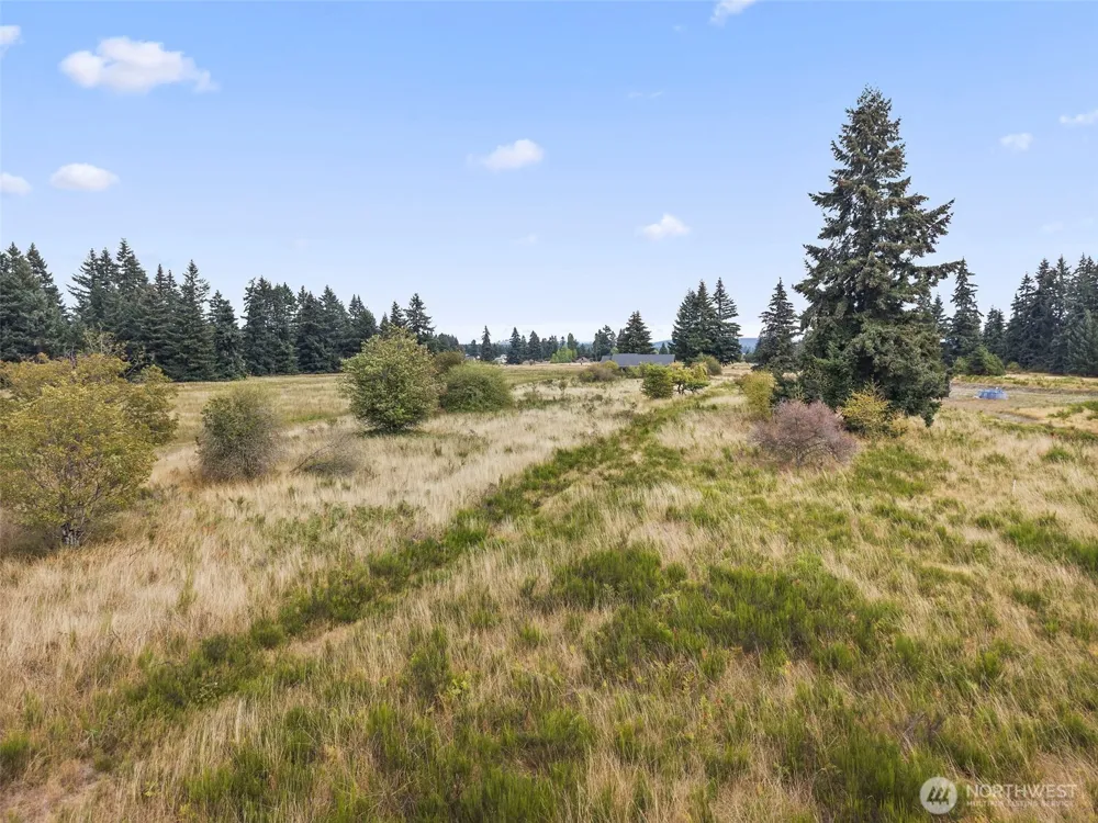 16735 Leitner Road SW Rochester, WA 98579