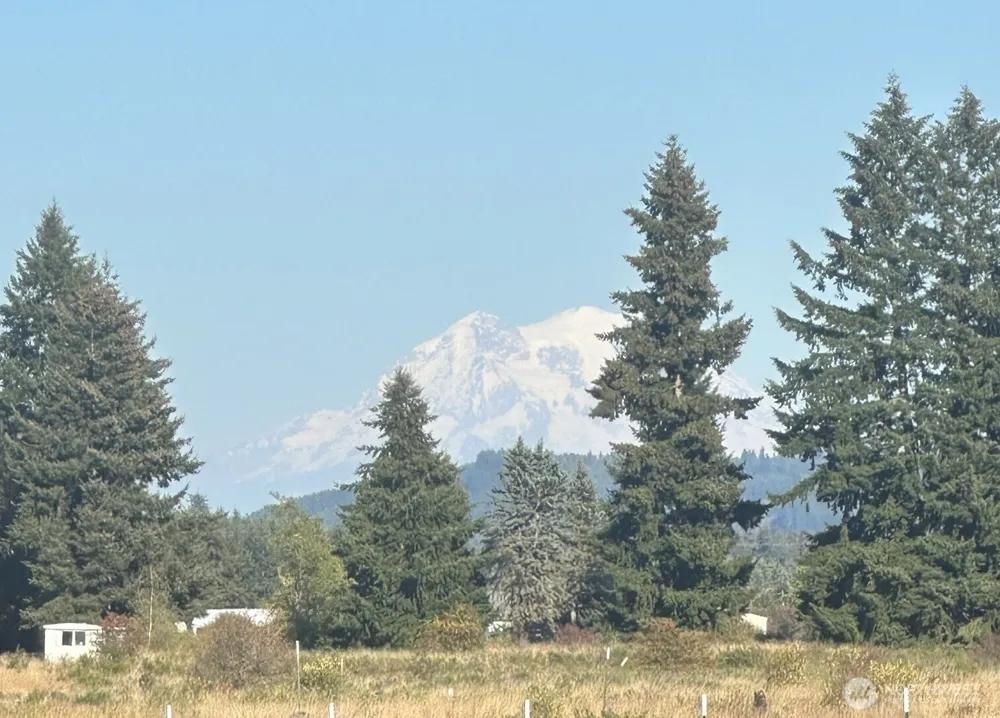 16735 Leitner Road SW Rochester, WA 98579