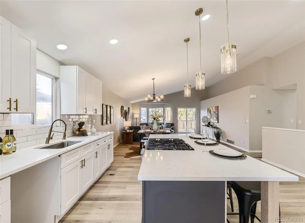 685 Branding Iron Lane Castle Rock, CO 80104
