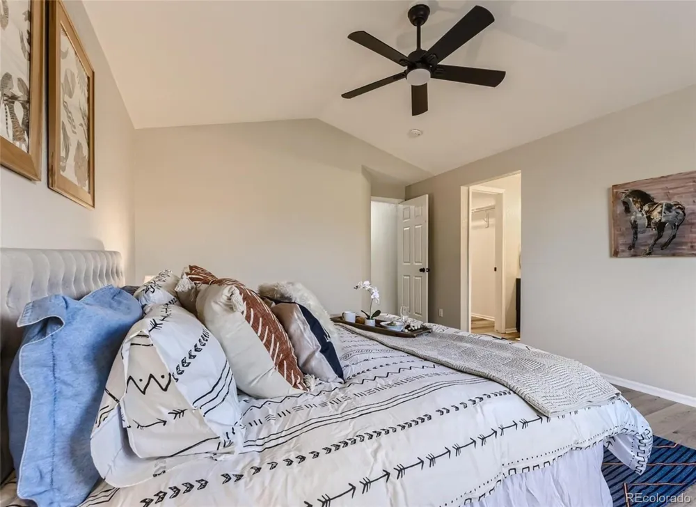 685 Branding Iron Lane Castle Rock, CO 80104