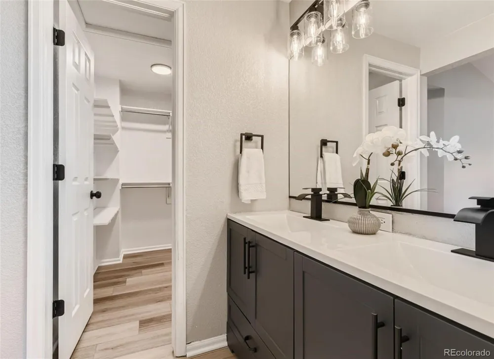 685 Branding Iron Lane Castle Rock, CO 80104