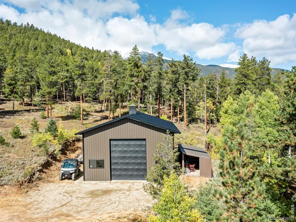 11982 Peak To Peak Drive Allenspark, CO 80510
