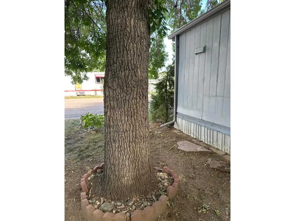 4108 Garfield Avenue #20 Loveland, CO 80538