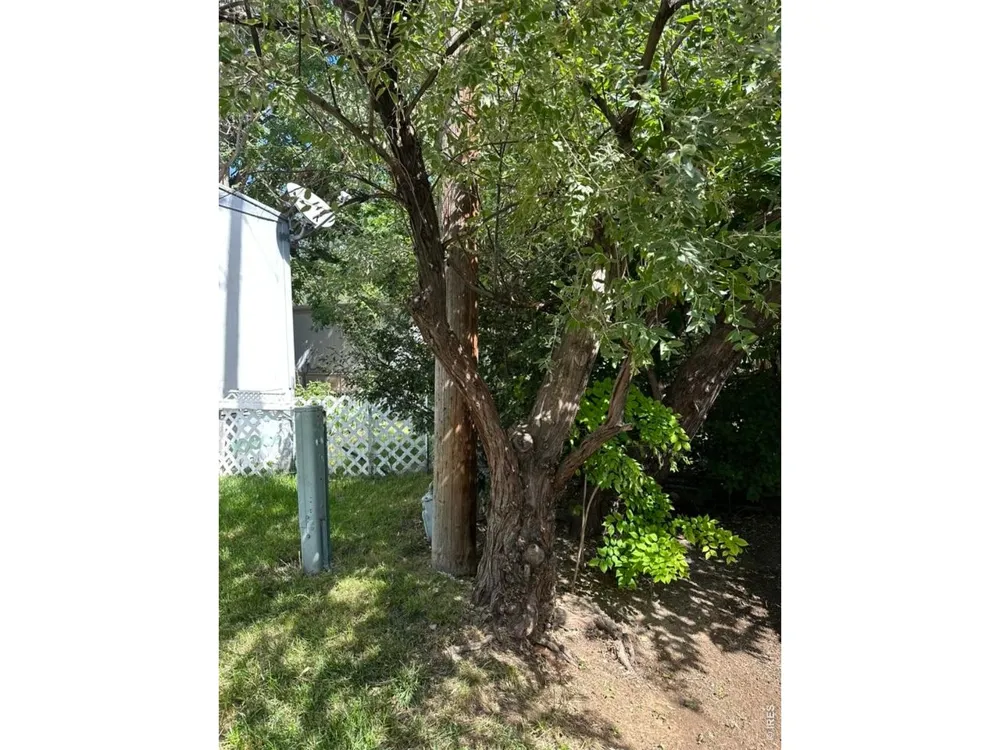 4108 Garfield Avenue #20 Loveland, CO 80538