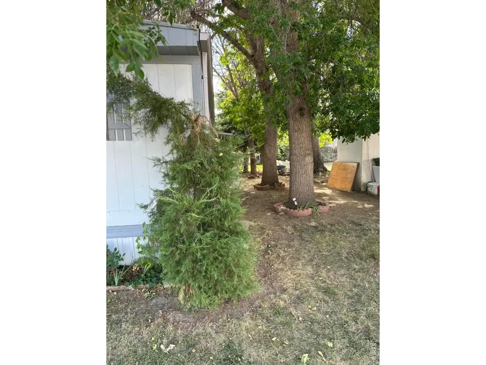 4108 Garfield Avenue #20 Loveland, CO 80538
