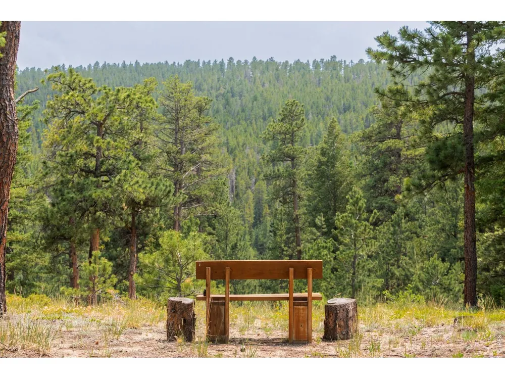 2001 County Road 68 Nederland, CO 80466