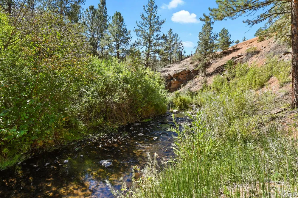 15228 Rainbow Drive Sedalia, CO 80135