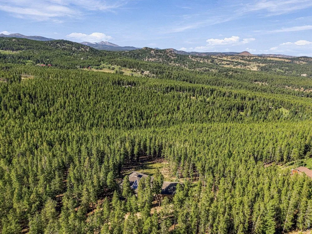 57 Aspen Way Nederland, CO 80466