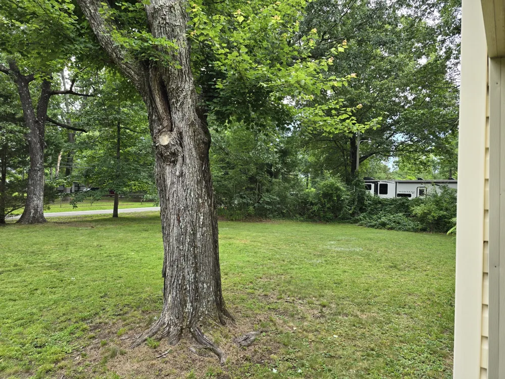 176 Parks Rd Monteagle, TN 37356