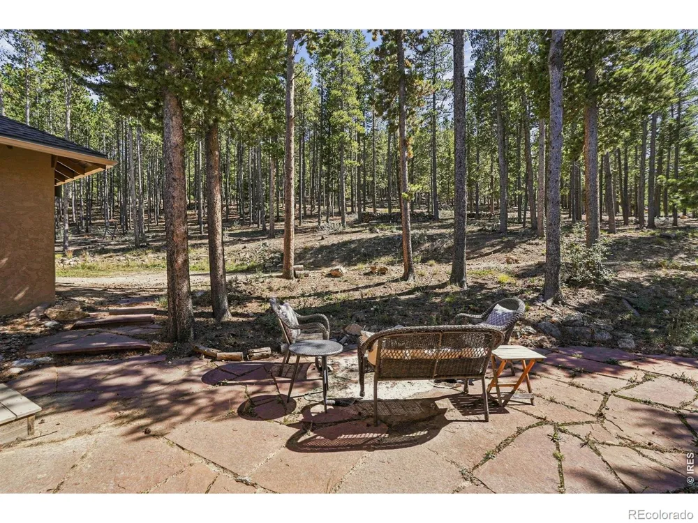 57 Aspen Way Nederland, CO 80466