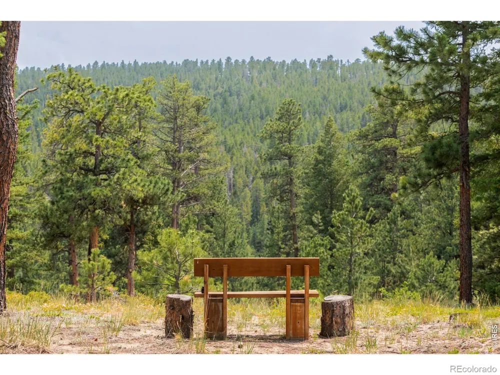 2001 County Road 68 Nederland, CO 80466