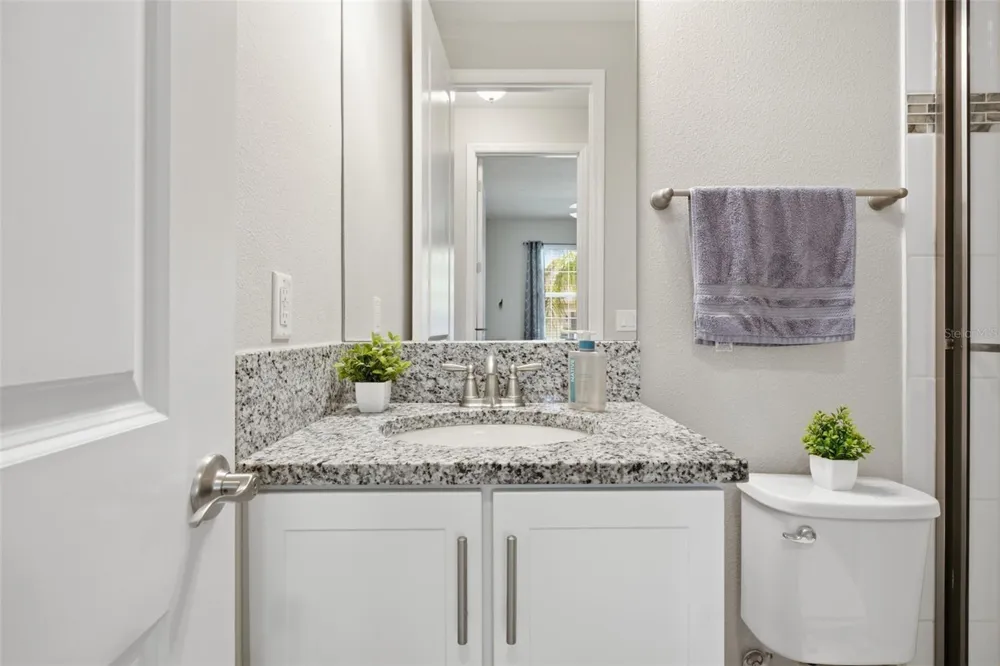 3073 MOUNTAIN SPRUCE TERRACE Wesley Chapel, FL 33543