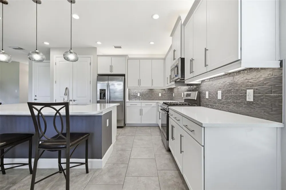 3073 MOUNTAIN SPRUCE TERRACE Wesley Chapel, FL 33543